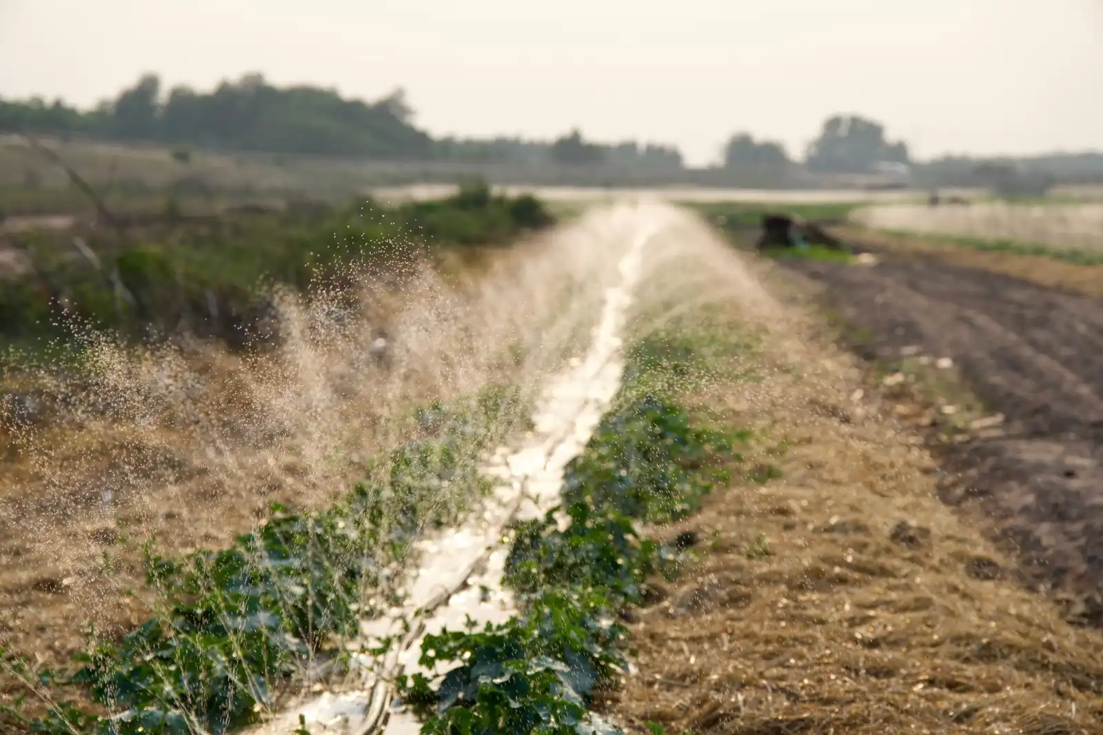 地质勘测在矿山安全评估中的应用与案例分析