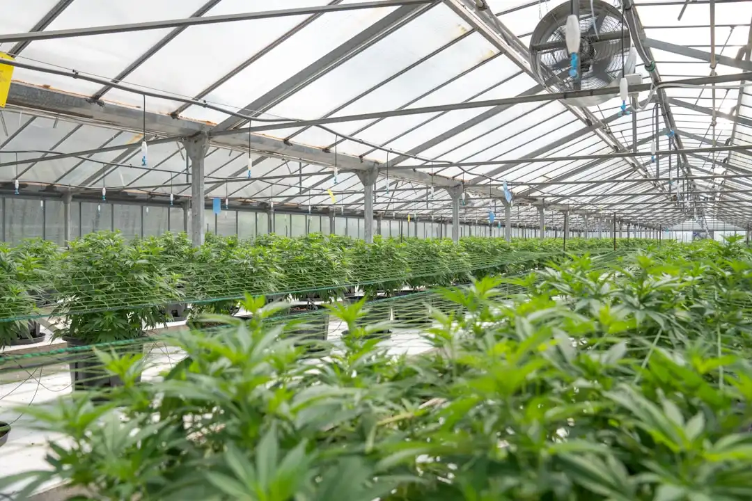 复杂地质条件下矿山工程监测方案的选择与优化