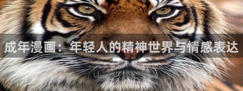 香蕉漫画网页入口