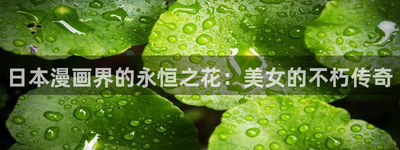 香蕉漫画免费观看