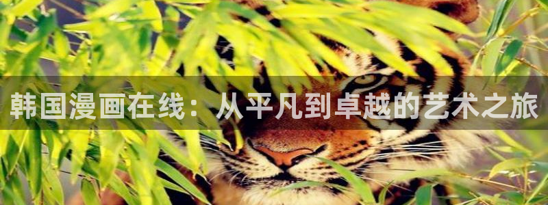 香蕉漫画免费看