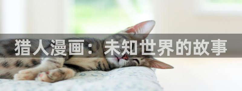 香蕉漫画书阅读下拉式最新