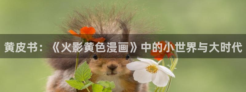 香蕉漫画入口网站