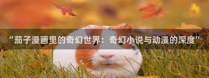 香蕉漫画书下拉式
